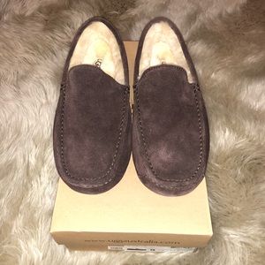 *SOLD*Brand New - Brown Ascot Men’s Uggs | Size 9
